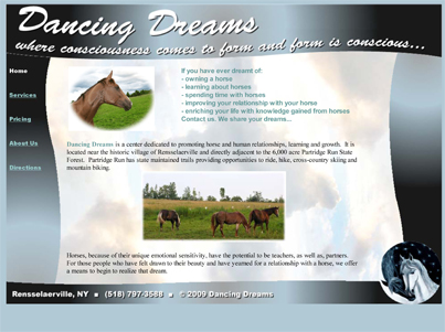 Dancing Dreams website